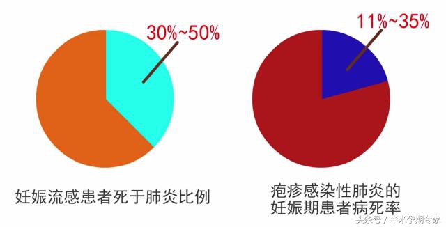 怀孕母猪肺炎怎么治疗,怀孕肺炎支原体感染