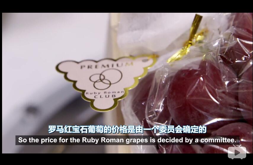 美国人在日本吃了串13000元人民币的葡萄，中国人表示看了心疼