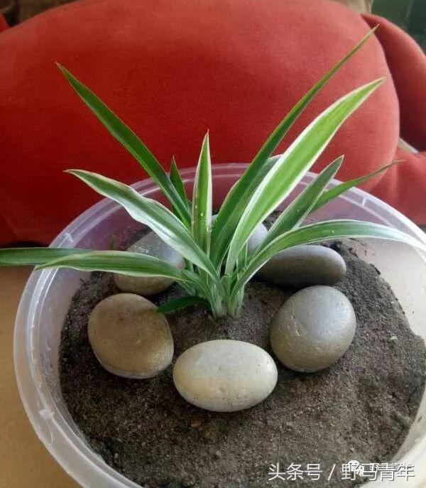 这一年提升幸福感的好物推荐,提升冬天幸福感的物件