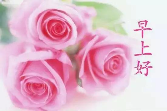 早上好问候语暖心吉祥表情图片,早上问候语早上好图片大全