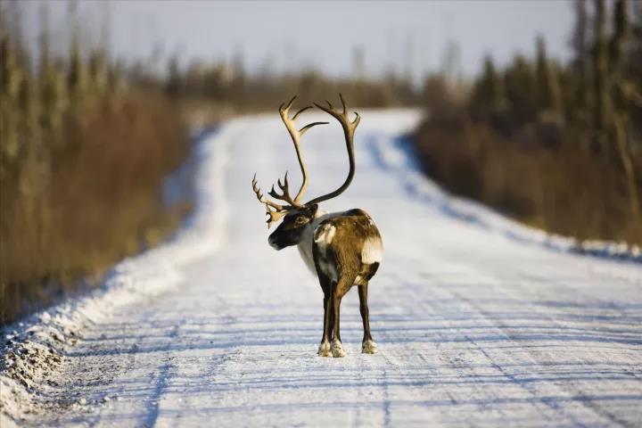 不带孩子去的地方,不带孩子去玩的二人世界