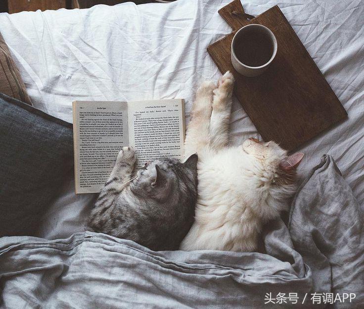 保暖衣妈妈款40岁,有哪些冬天保暖的必备神器