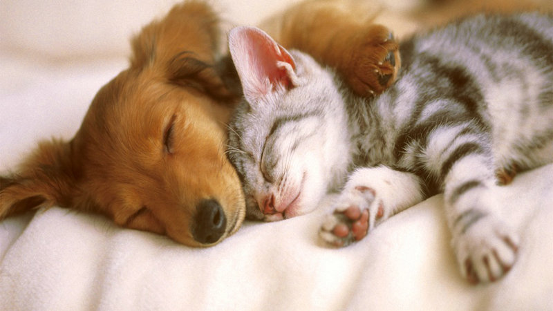 养生的重要性和不养生的区别,什么是养生该如何养生