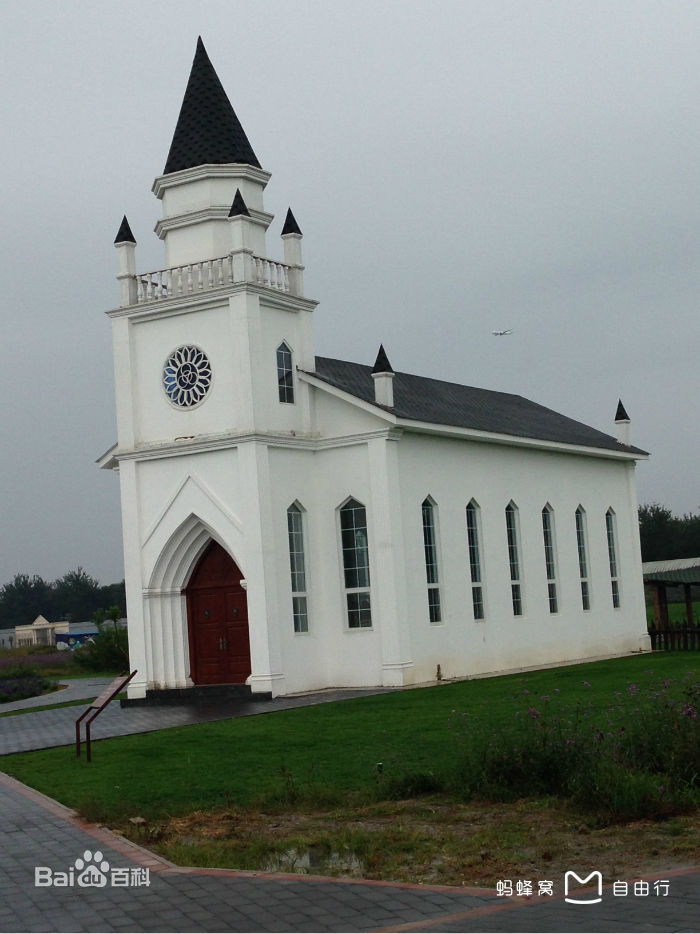 蓝调薰衣草庄园门票,蓝调薰衣草庄园月季花