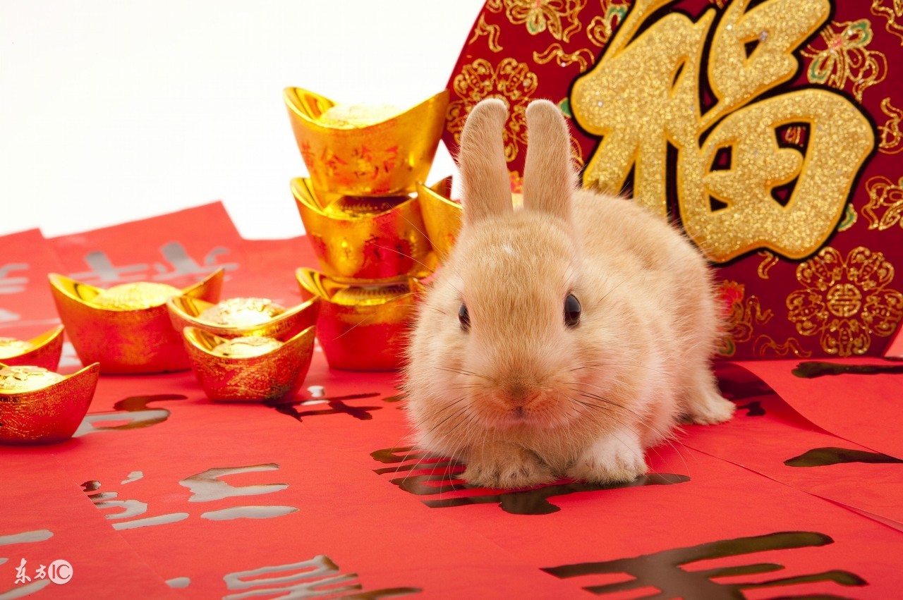 生肖兔2018年运势大全及解析,生肖兔2018年每月运势大全