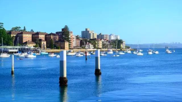 代购是什么玩意,代购你不知道的秘密