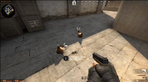 csgo最令人崩溃的鸡,csgo进入瓶颈期谁都打不过