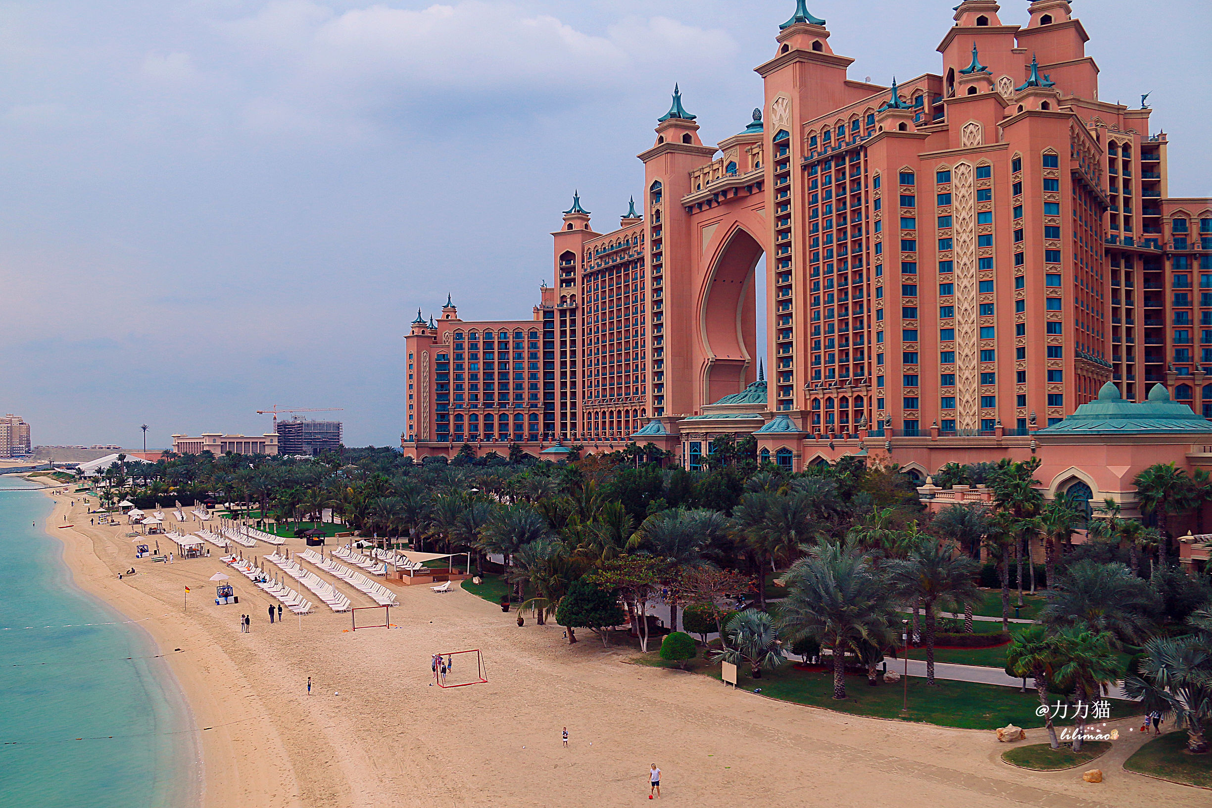 阿联酋：谁富有要看门口的树