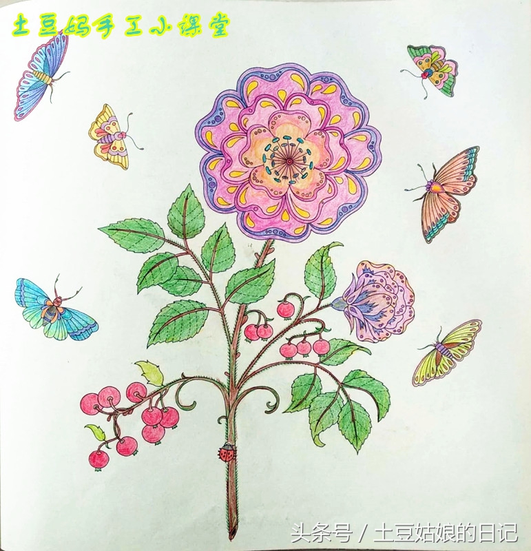 玩秘密花园涂色本,秘密花园涂色本可爱