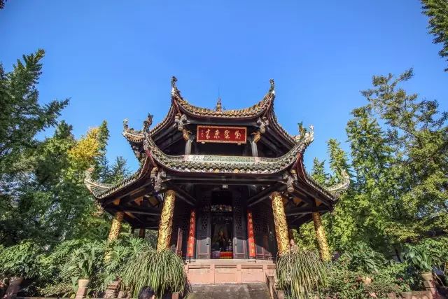 成都有什么好玩的东西,成都到底有多好玩