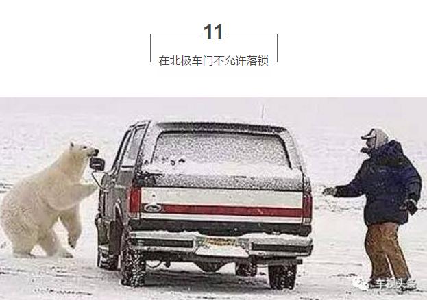 学会这些技巧你是老司机,老司机都不知道的冷知识