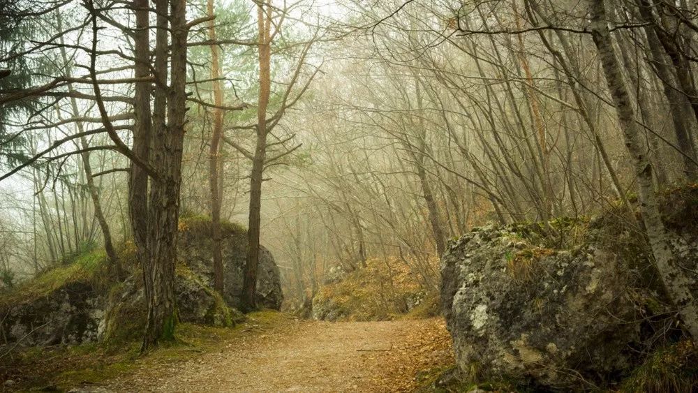 梅斯:托斯卡纳的郊野,有美妙时光