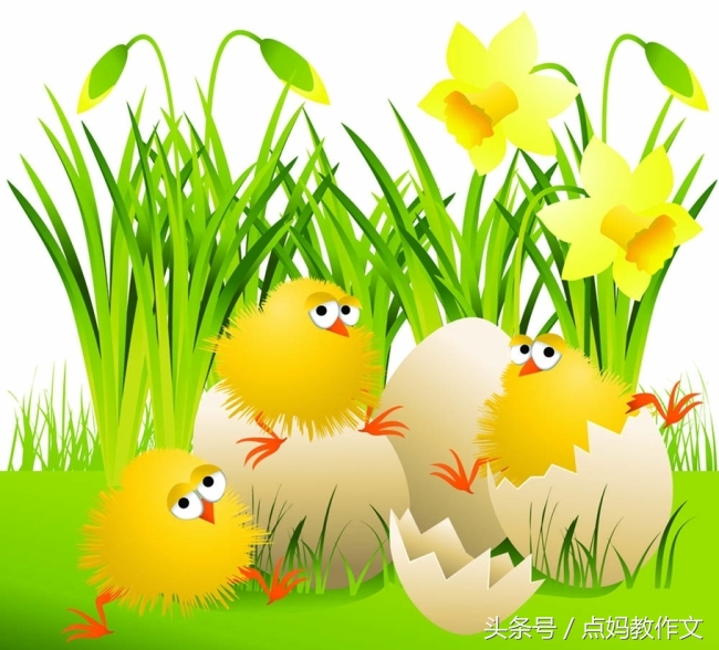 妈妈教做饭看图写话,二年级淘气的小鸡看图写话200字