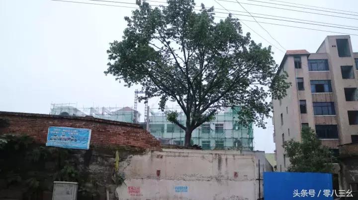 南溪长兴赶场,南溪区南溪镇赶集视频