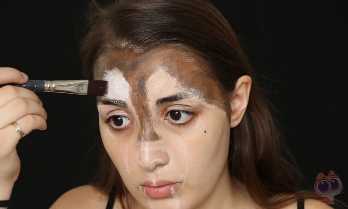 小狗狗头肿了,小狗狗脸肿了脑袋上面按着有水