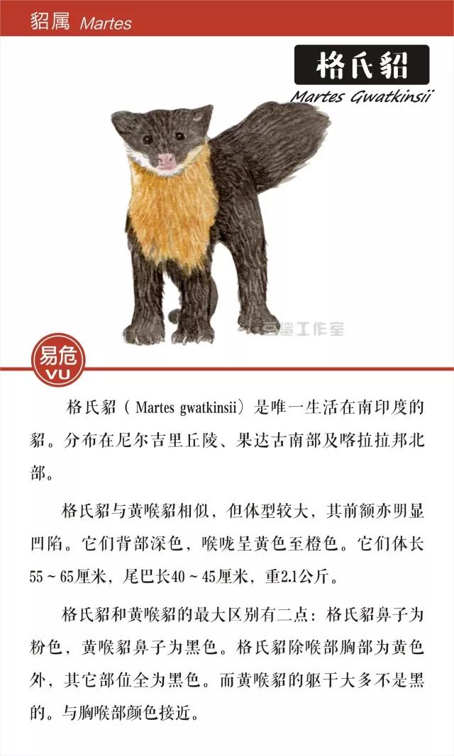 给你带来温暖和短暂时尚的皮草,你想知道背后的故事吗?