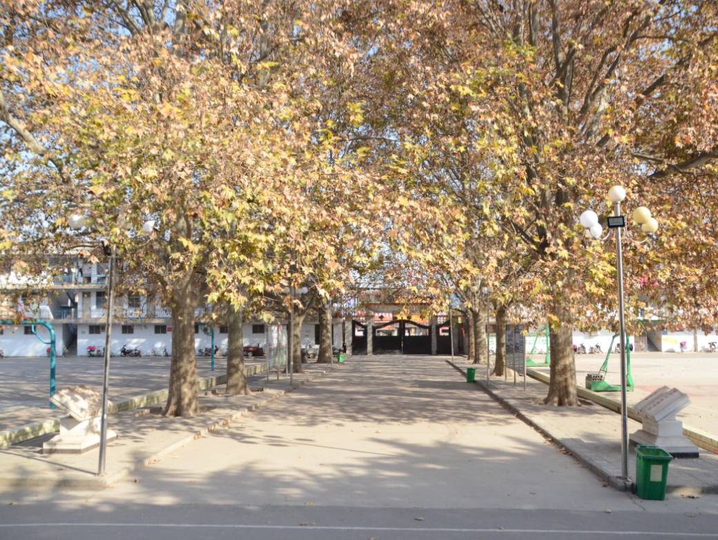 郑州军海脑病医院治癫痫靠谱吗,郑州军海脑病癫痫医院咋样