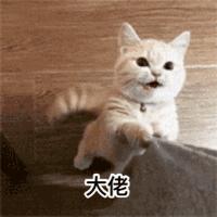 爱肯拿哪一款好,爱肯拿值不值得买