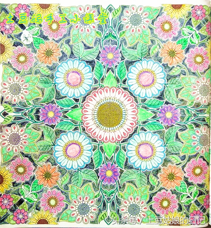 玩秘密花园涂色本,秘密花园涂色本可爱