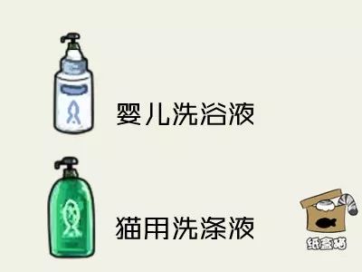 给猫咪洗澡要注意哪些,喵星人洗澡的正确方法
