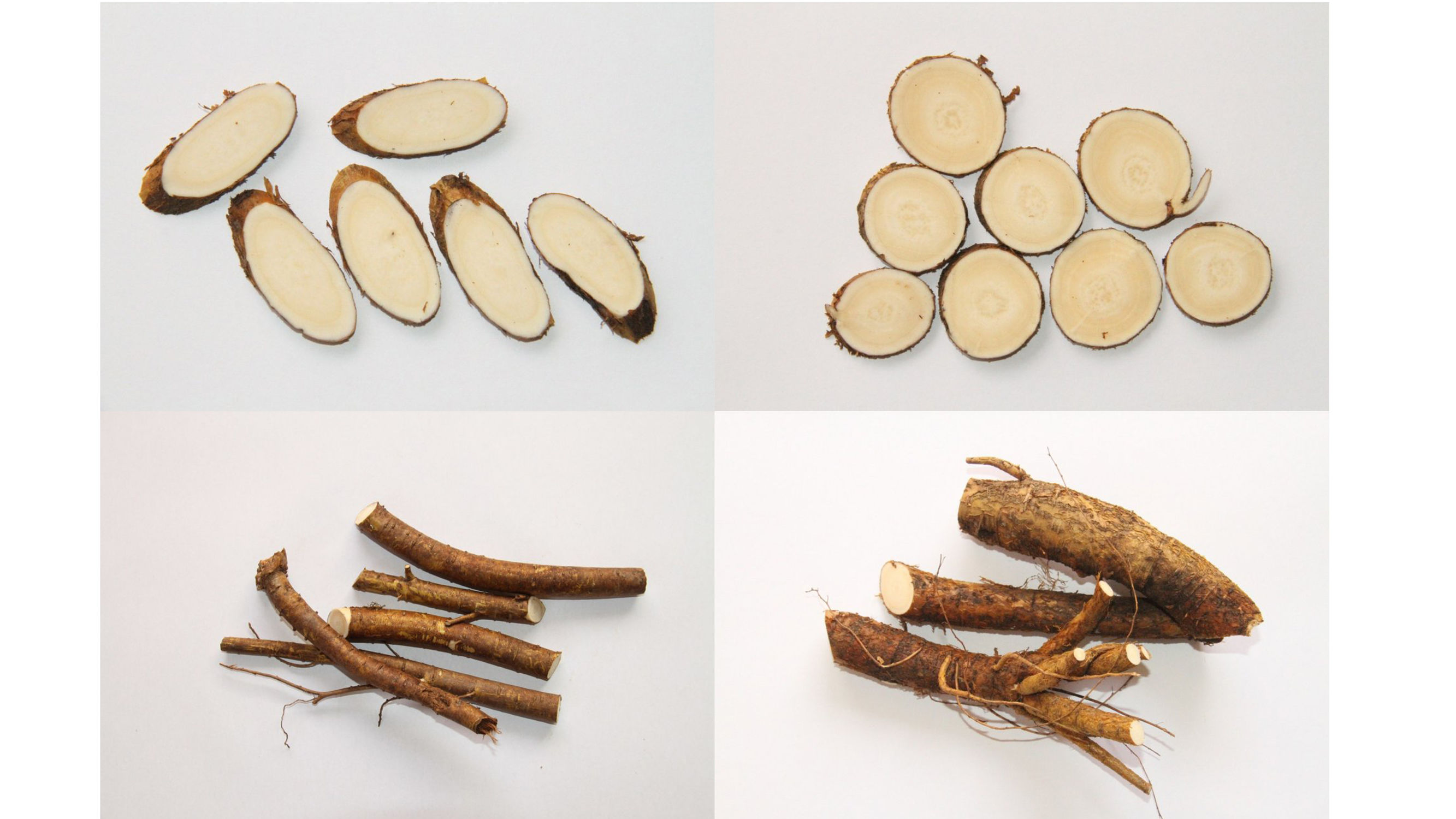 鑻﹀弬浜哄弬鍖哄埆,澶у璁よ瘑閲庣敓妞嶇墿