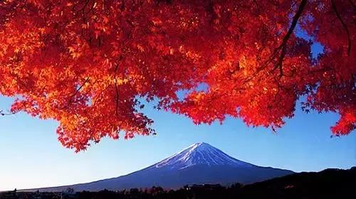 必买的好物清单,必买平价好物清单