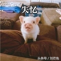 和双子座吵架分手如何解决,和双子座分手要注意什么