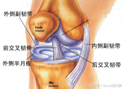 膝关节疼痛如何预防和干预,膝盖常见伤病症状
