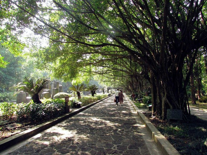 邂逅美丽椰城海口自由行攻略,海南岛自驾游摘椰子