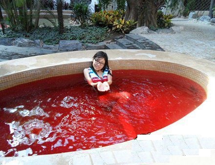 女游泳运动员比赛时来月经怎么办,游泳运动员遇到生理期比赛怎么办