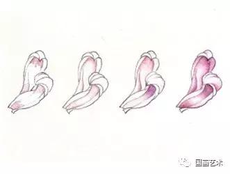 工笔菊花画法步骤示范,工笔菊花设色步骤