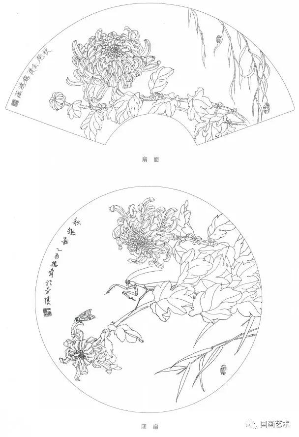 工笔菊花画法步骤示范,工笔菊花设色步骤