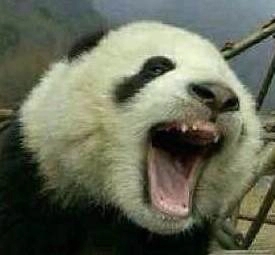 全都太有才了！NGA论坛水友集体COSPLAY魔兽世界技能图标