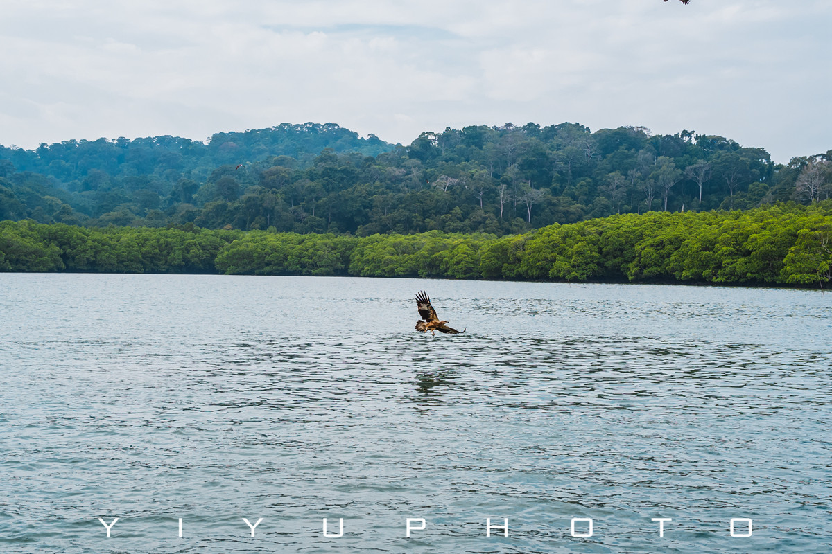 悠游一夏,马来西亚——六日自由行攻略