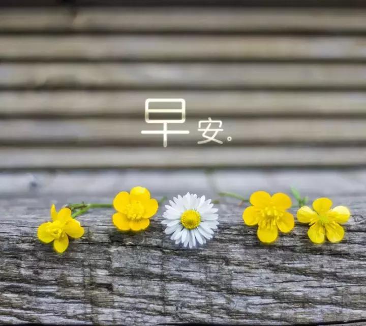 周一早上好最漂亮的早安问候语,早上好祝福问候语大全简短一点
