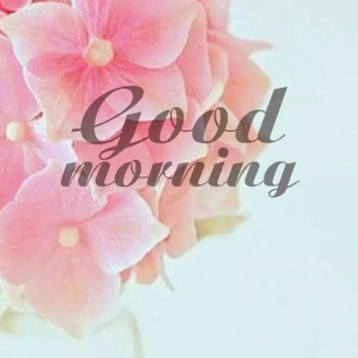 早上好祝福问候语大全简短一点,早上好问候语早安祝福