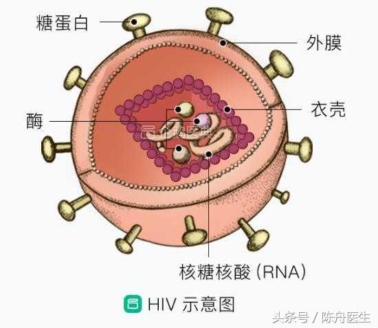 科学认识网络传播规律,科学认识艾滋病别再恐惧