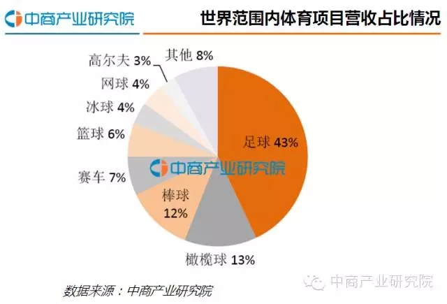 中国足球产业发展报告,中国足球行业未来发展趋势