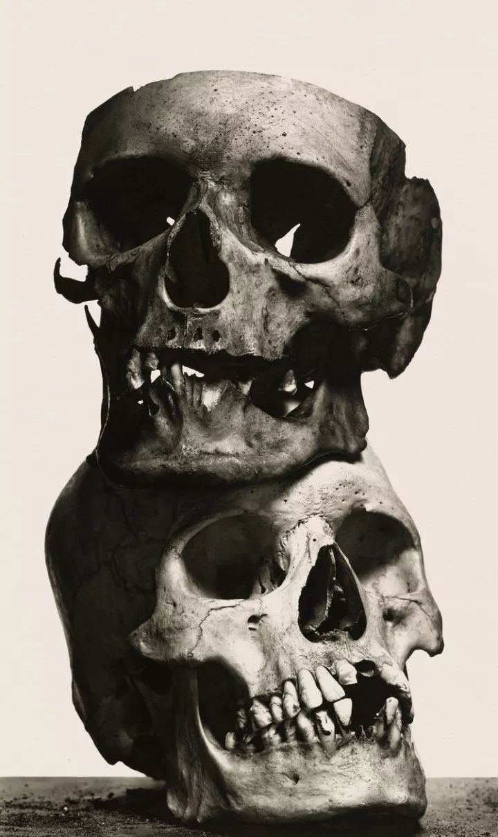 世界摄影大师经典作品欣赏,摄影100张世界摄影大师的黑白作品