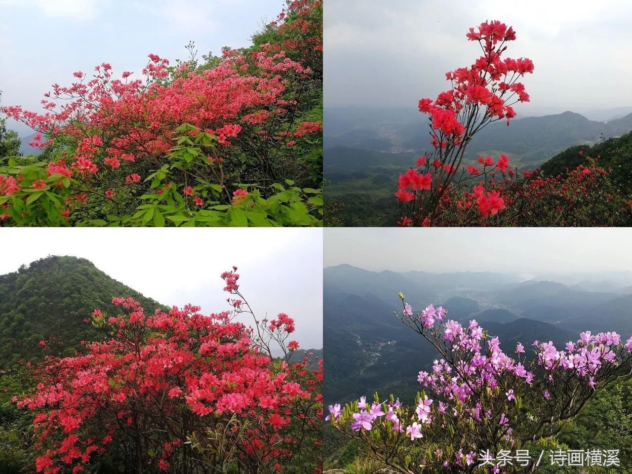 金华登山景点,金华适合爬山景点排名