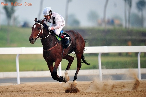 鑽峰叞璧涢┈,浣庝环璐拱鏃犳硶鍙戣揣鐢宠浠茶