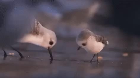 2017女生最WU标准表，快看看你到几级了？