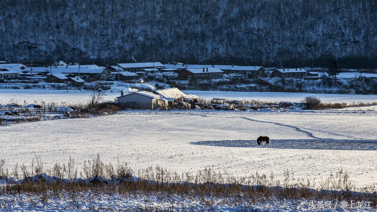 村妇救助八路军伤员,村妇好心救助受伤鬼子