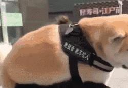 姣忔棩绗戞姤鐖嗙瑧璇綍,姣忔棩绗戞姤2014