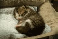 专业监理工程师验收程序,监理工程师验房屋工程质量