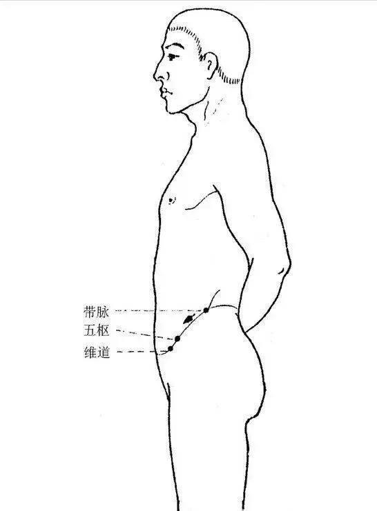为什么男人和女人容易胖的位置不同