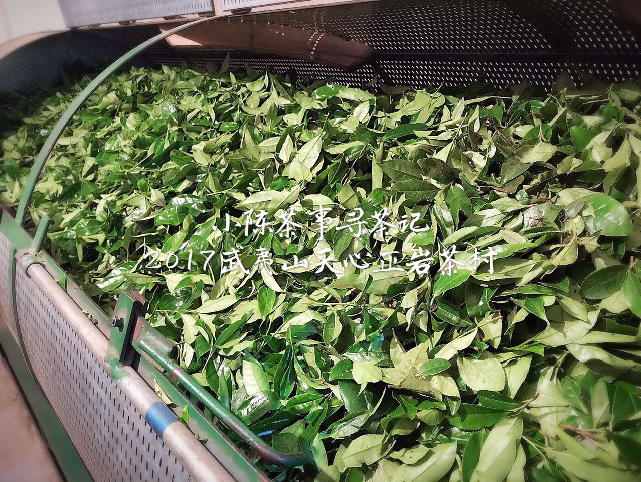 大红袍肉桂岩茶怎么泡,水仙大红袍肉桂的冲泡技巧及方法