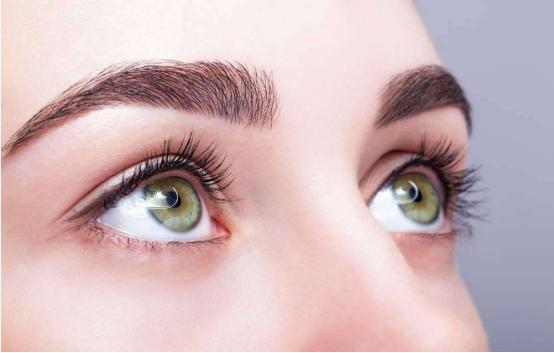 想健康护眼,吃这些准没错