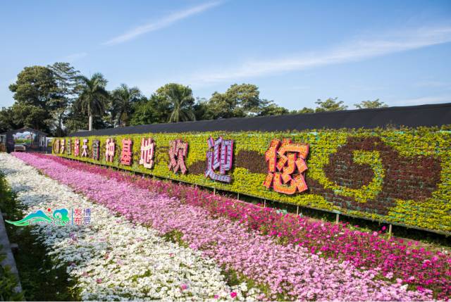 手机看着看着就蓝屏了,点开你的照片手机就死机了