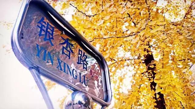 在茫茫人海一眼认出你,在茫茫人海中一眼认出你视频